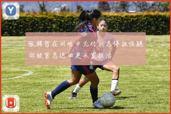 张稀哲在训练中无对抗急停扭伤腿部被紧急送回更衣室救治