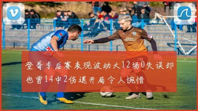 登哥季后赛表现波动大12场0失误却也曾14中2伤退开局令人惋惜