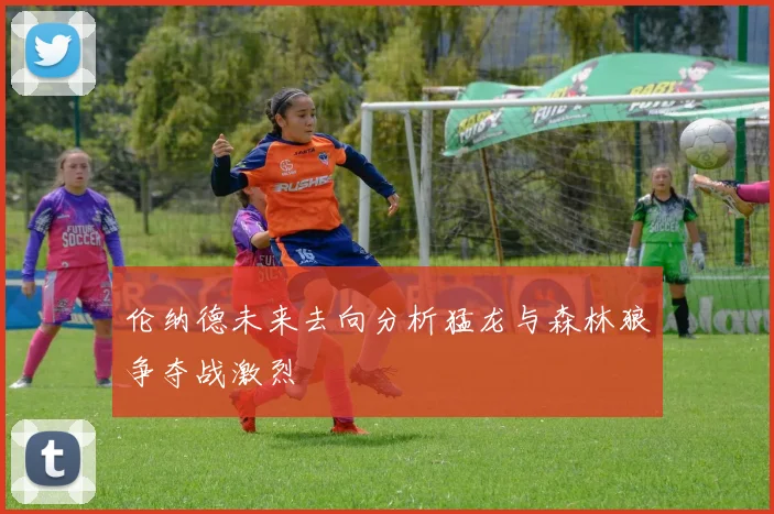 伦纳德未来去向分析猛龙与森林狼争夺战激烈